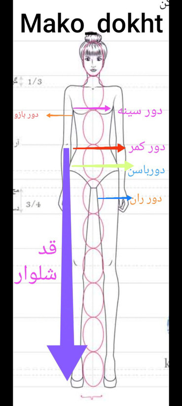 کت تک زنانه یقه دار مازراتی (قهوه ای تیره)